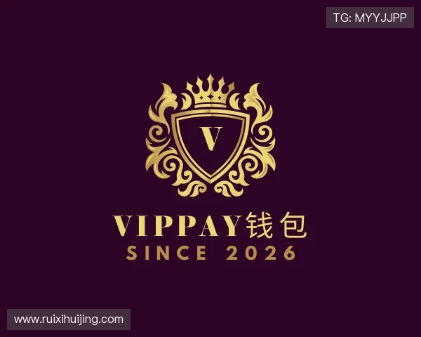 了解VipPay钱包